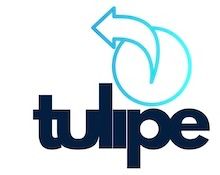 Tulipe Payment Solutions